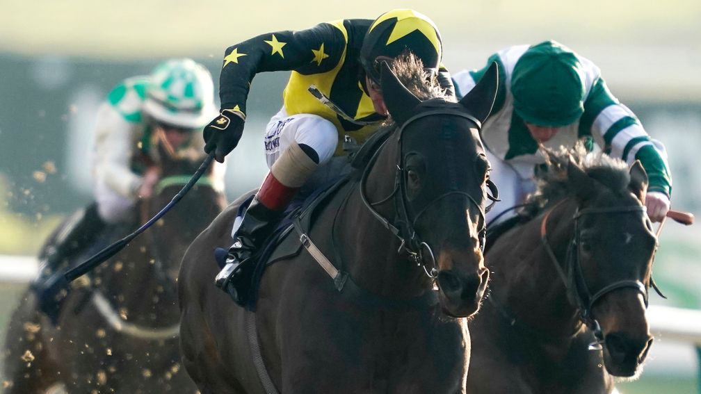 All-weather expert Pactolus wins on turf at Yarmouth