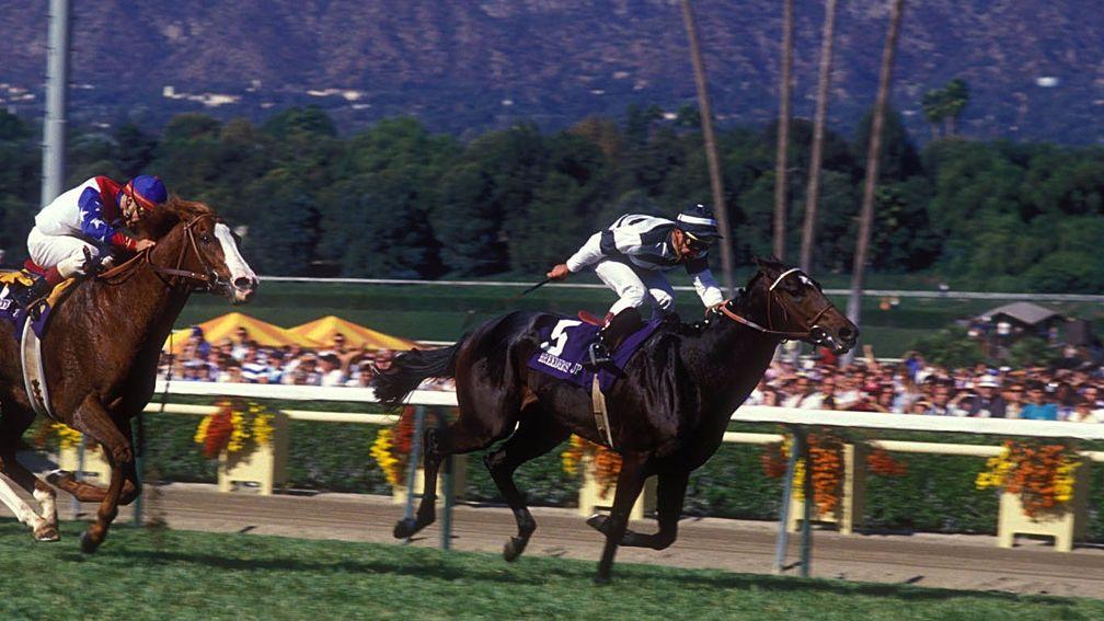 Last Tycoon wins the Breeders' Cup Mile, perhaps the pinnacle for the family