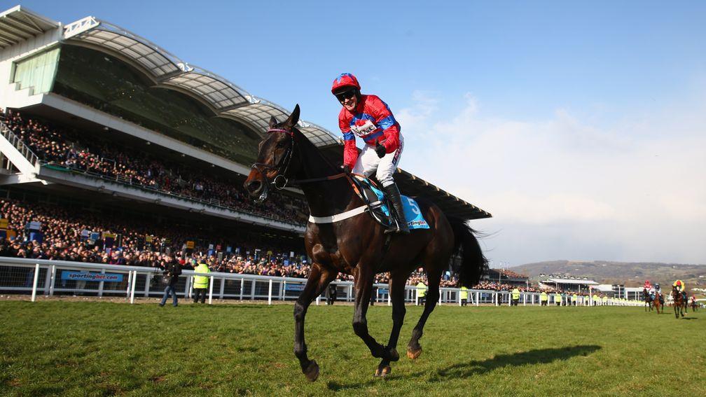 Barry Geraghty celebrates as the rest of the field are still running: Sprinter Sacre's finest hour in the 2013 Champion Chase