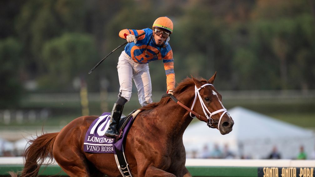 Vino Rosso: won the Breeders' Cup Classic last year