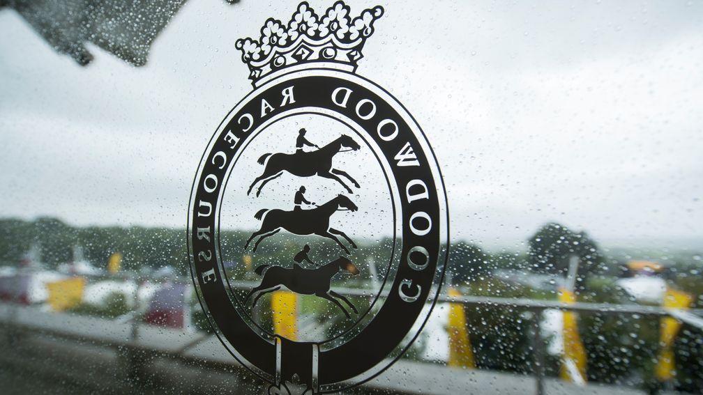 Goodwood: around 4,000 members will attend the pilot event