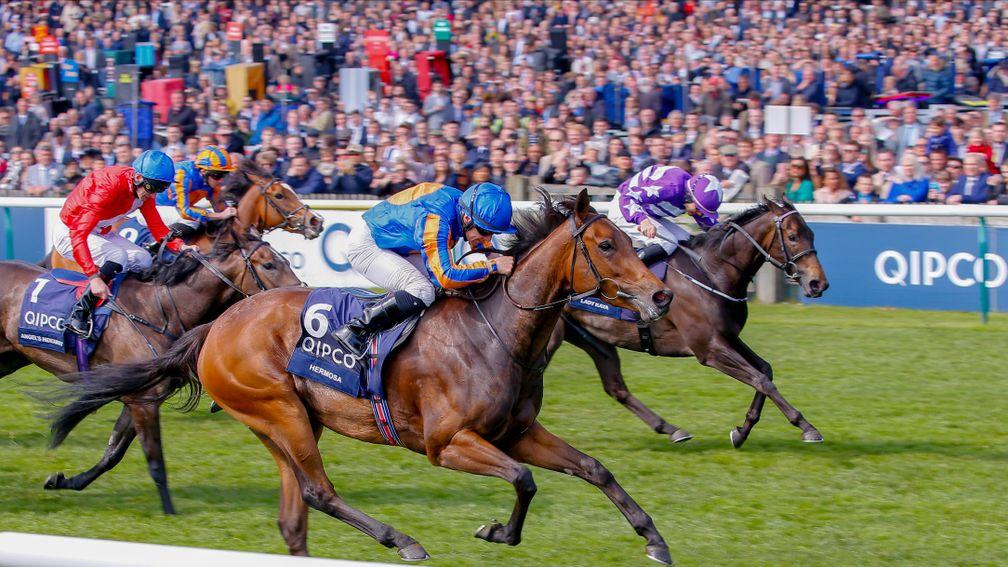 Lady Kaya (purple silks) chases Hermosa home in the 1,000 Guineas
