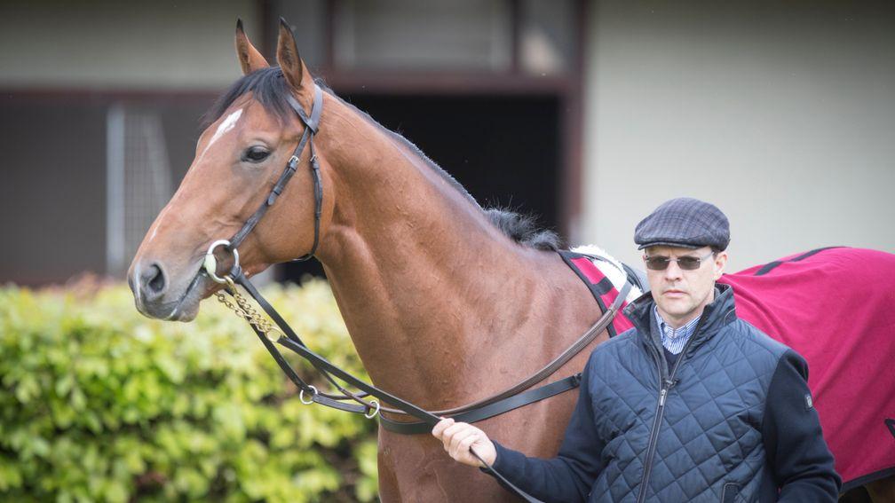 Saxon Warrior, with Aidan O'Brien: the horse will be given every chance to prove himself, says Andrew Evzona