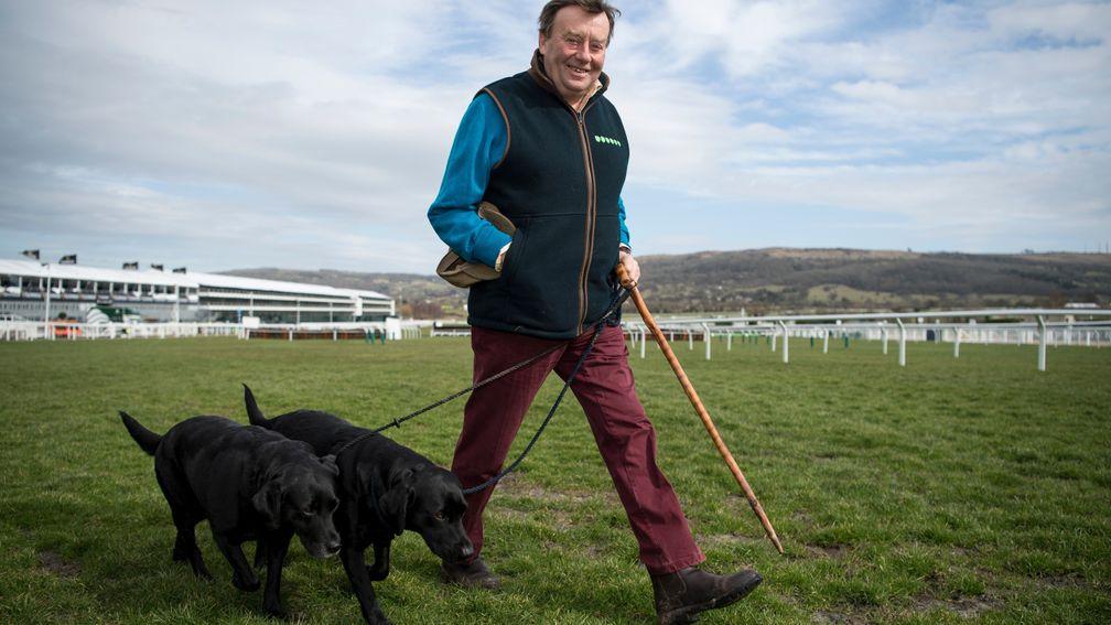 Nicky Henderson walks the course with his two black labradors