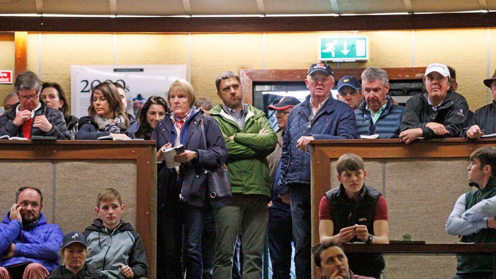 Justin Casse (green) contemplating his next bid during the €1.6 million Frankel colt's time in the Goffs ring