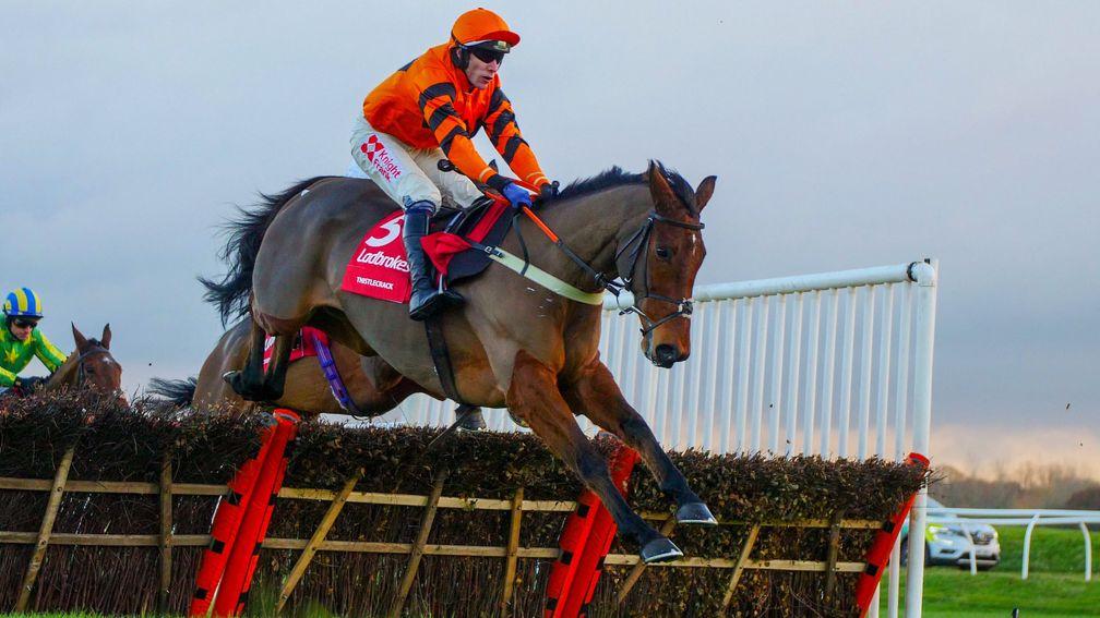 Thistlecrack: not what the doctor ordered