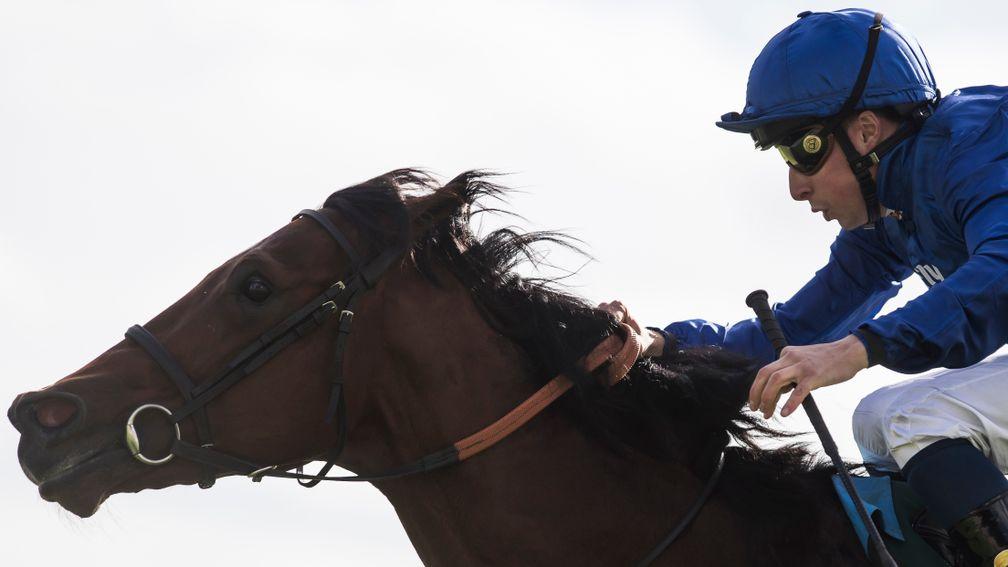Quorto and William Buick run out convincing winners of the National Stakes