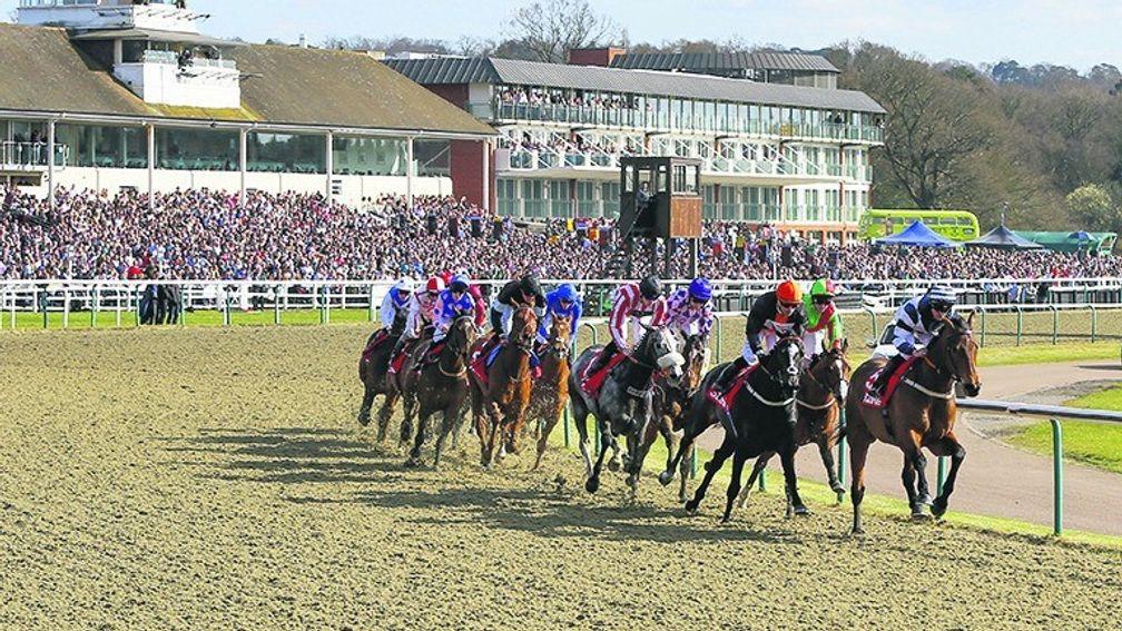 Lingfield's owner Arena Racing Company has welcomed the boost to grassroots funding