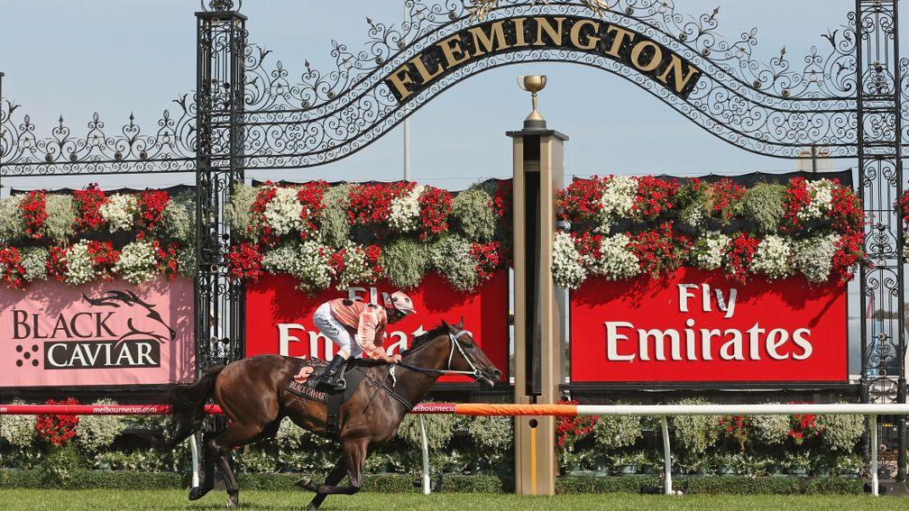 Black Caviar wins the Lightning Stakes at Flemington in 2013, part of the Global Sprint Challenge