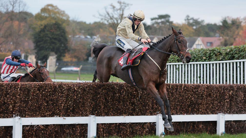 Good Boy Bobby: could land a 13th career win for Nigel Twiston-Davies