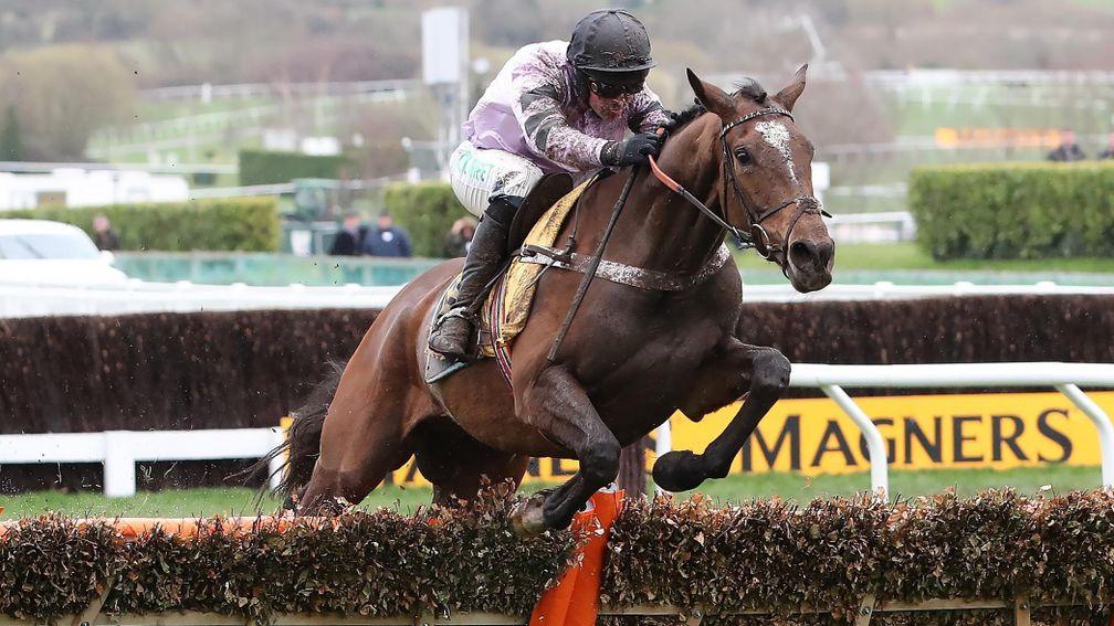 Pentland Hills: aims to become the fifth Triumph Hurdle winner this century to follow up at Aintree