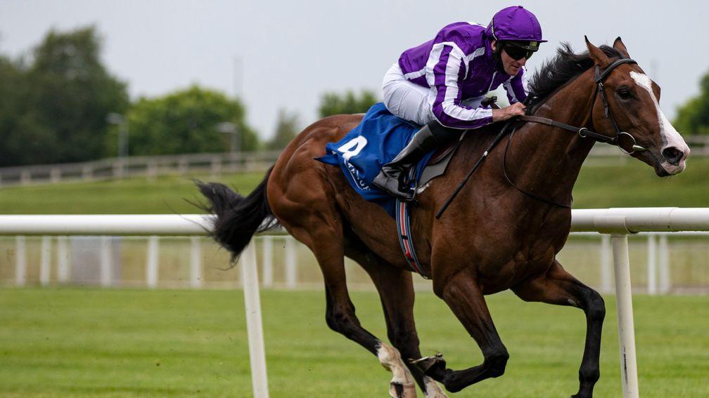 Point Lonsdale: can he continue Aidan O'Brien's impressive record in the Chesham Stakes?