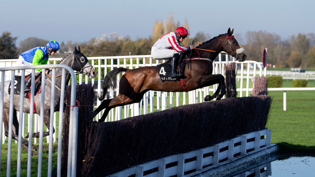 The Real Whacker: winner at last year's November meeting