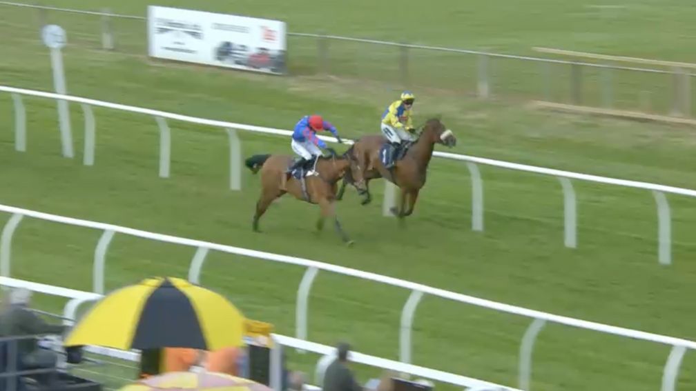 Harry Cobden continues in the drive position on Dasher Riley as Anderson begins to pull up Trolley Boy