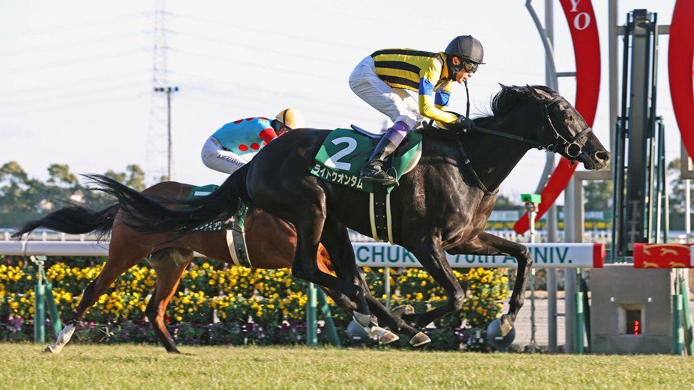 Chukyo Graded winner Light Quantum is from the final crop of Deep Impact 