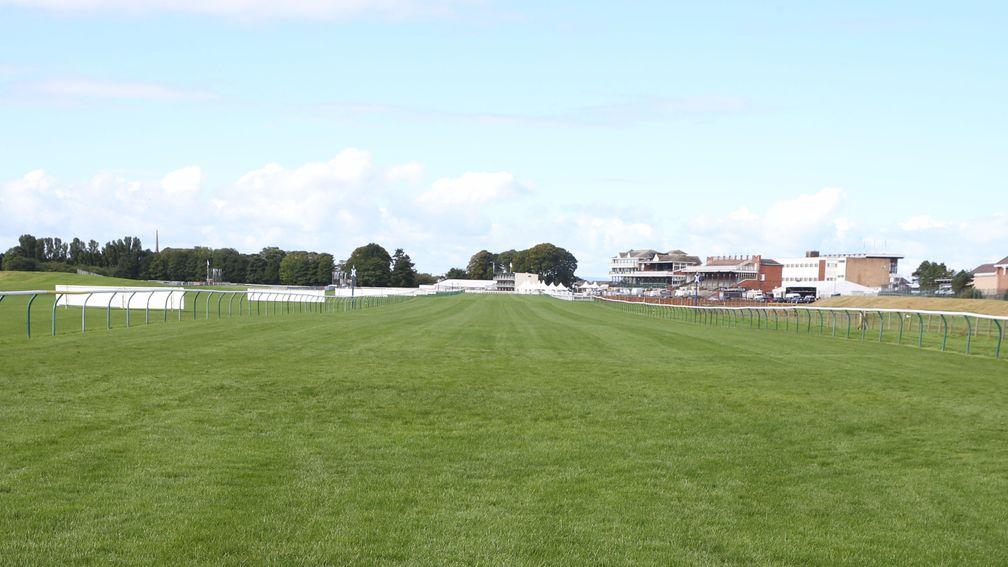 Empty acres at Ayr on Saturday after the loss of its big Western meeting