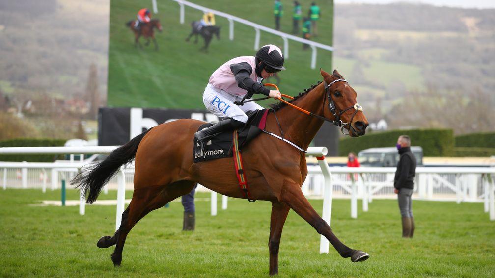 Bob Olinger: bolted up in last season's Ballymore Novices' Hurdle