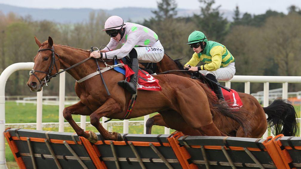 Mister Policeman: looked potentially smart when scoring at Cork in April