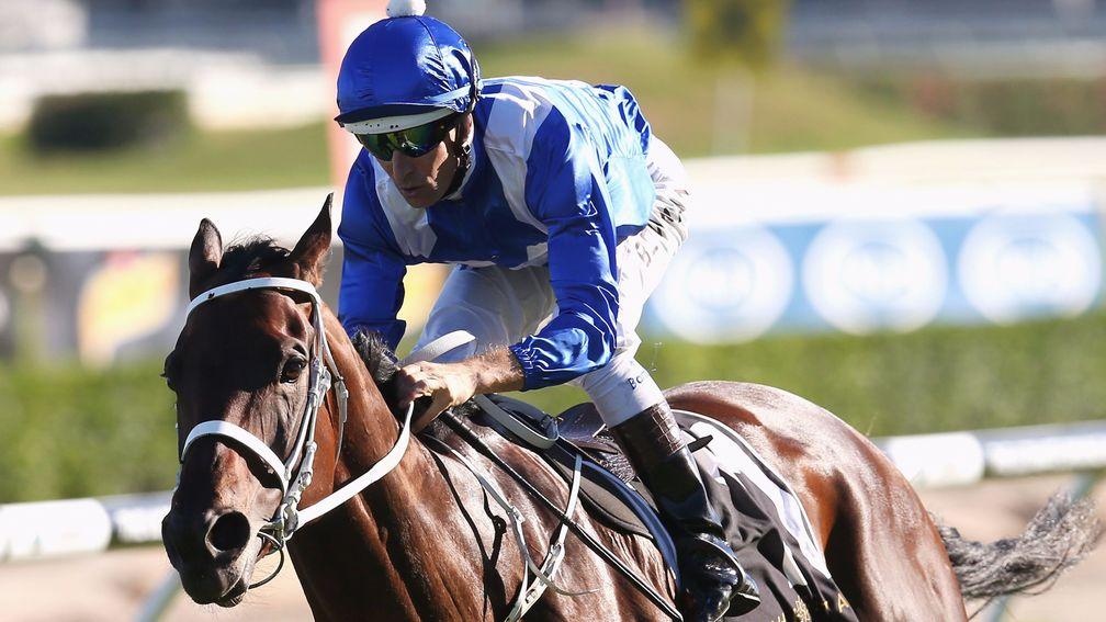 Winx: wondermare bids for back-to-back victories in the Warwick Stakes