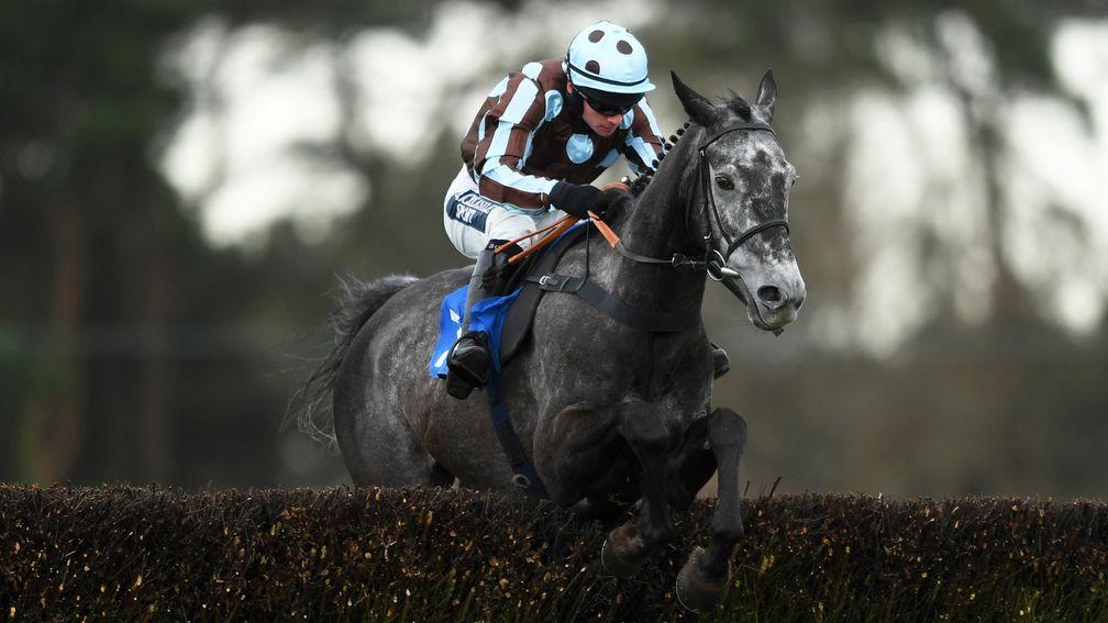 Springfield Fox: pulled up in the Welsh Grand National last time out