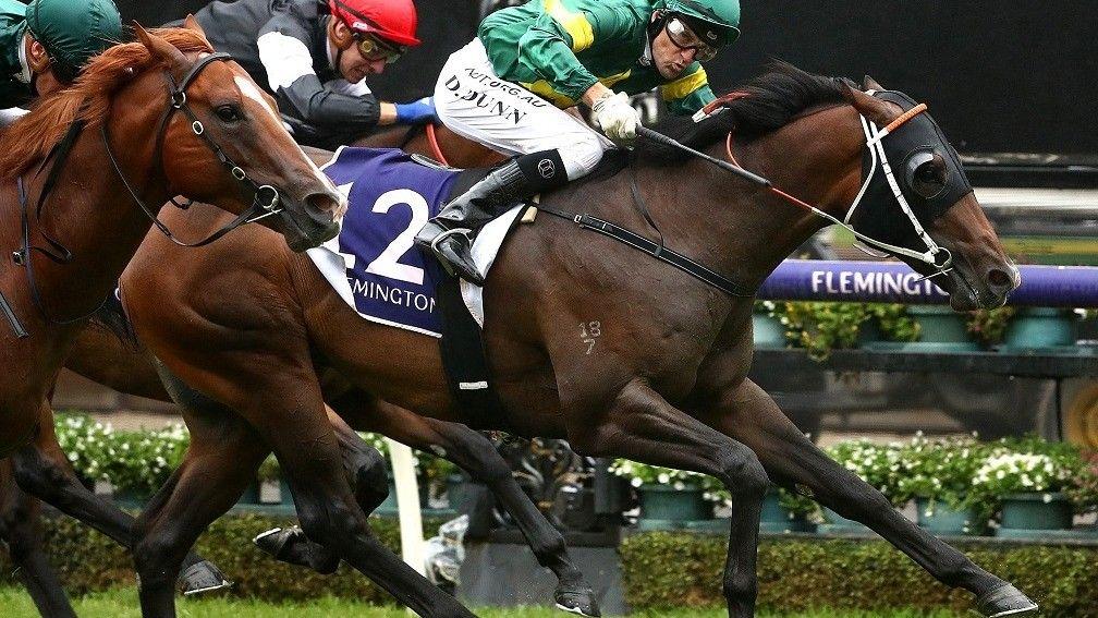 Ole Kirk: future lies at Hunter Valley after a possible Royal Ascot pitstop