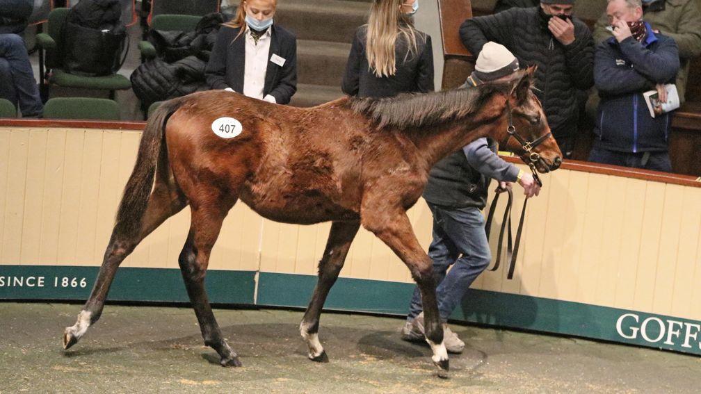 This Getaway half-brother to Nina The Terrier sold to Peter Vaughan