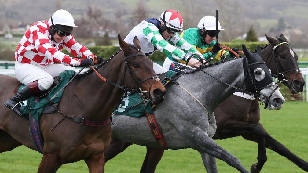 Pileon (left) will carry Neil Channing's ante-post hopes for the Martin Pipe Conditional Jockeys' Handicap Hurdle