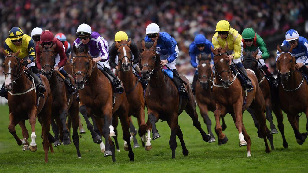 ASCOT, ENGLAND - JUNE 23:  Runners and riders round the bend during the Queen's Vase on Day Four of Royal Ascot at Ascot Racecourse on June 23, 2017 in Ascot, England.  (Photo by Mike Hewitt/Getty Images)