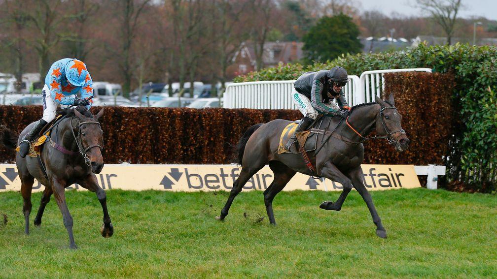 Altior (right): options include the Desert Orchid Chase at Kempton and the Clarence House Chase at Ascot