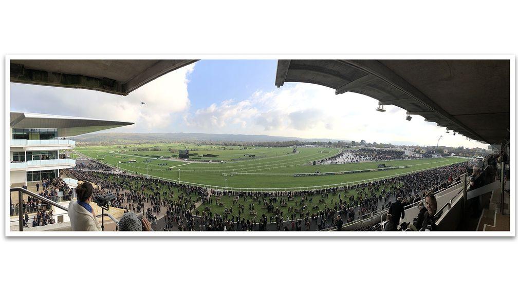 The view from the fourth floor of the grandstand at Cheltenham where Simon Claisse watches the action unfold