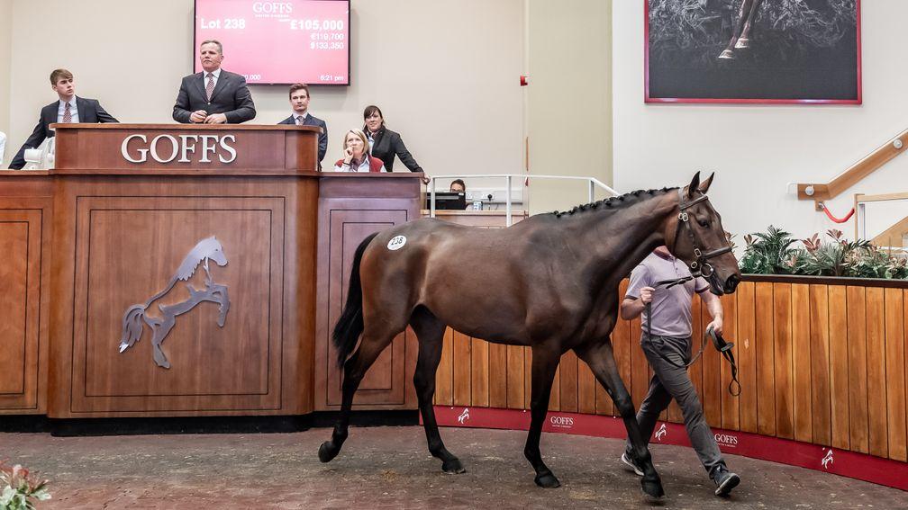 Lot 238: the son of Getaway in the ring before being knocked down to Ross Doyle and Colin Tizzard for £105,000