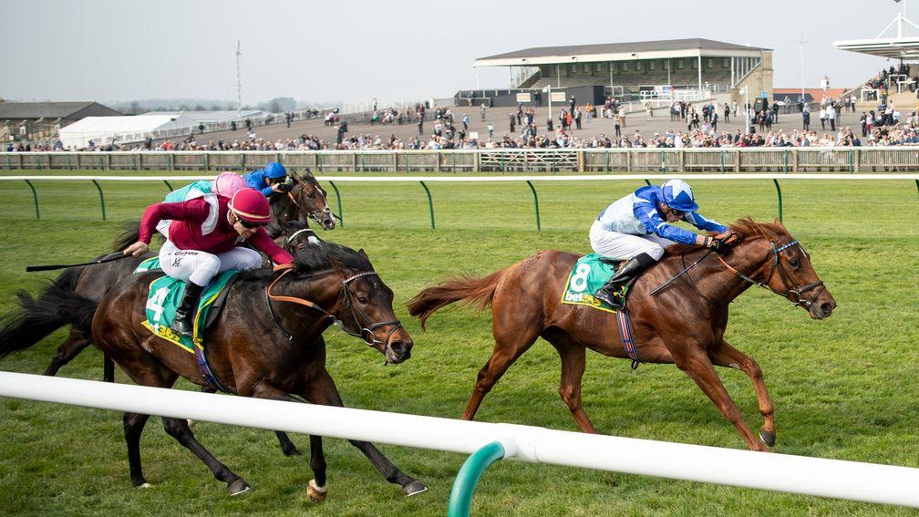 Skardu: being aimed at Group 1 contests by William Haggas