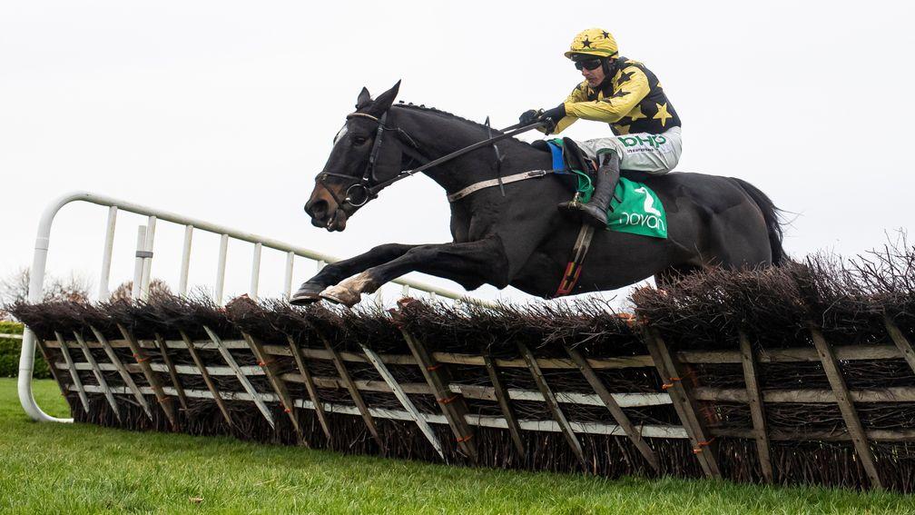 Bacardys: jumps the final hurdle to run out an impressive winner of the Lismullen Hurdle