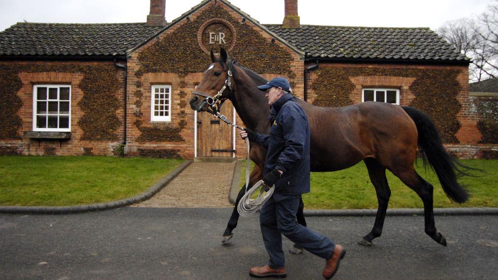 Motivator is led to the paddock in the walled garden at The Queen's Sandringham Stud by stallion man David Cartledge in 2009