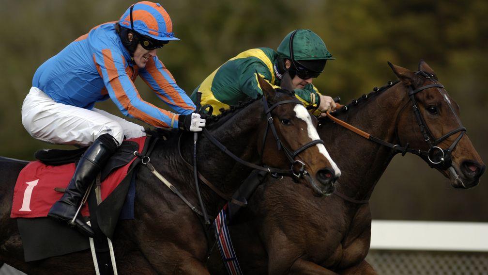 Refinement (blue and orange) was a top-class hurdler