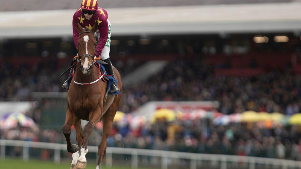 Monalee: poised to go straight to Cheltenham in March