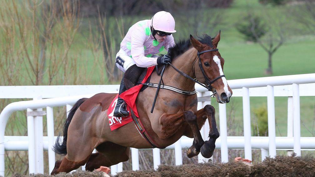 Faugheen: Ruby Walsh has issued an upbeat bulletin on the former Champion Hurdle winner