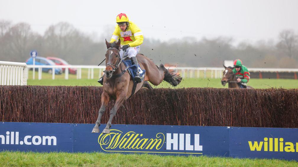 Eclair D'Ainay: successful at Wetherby last month