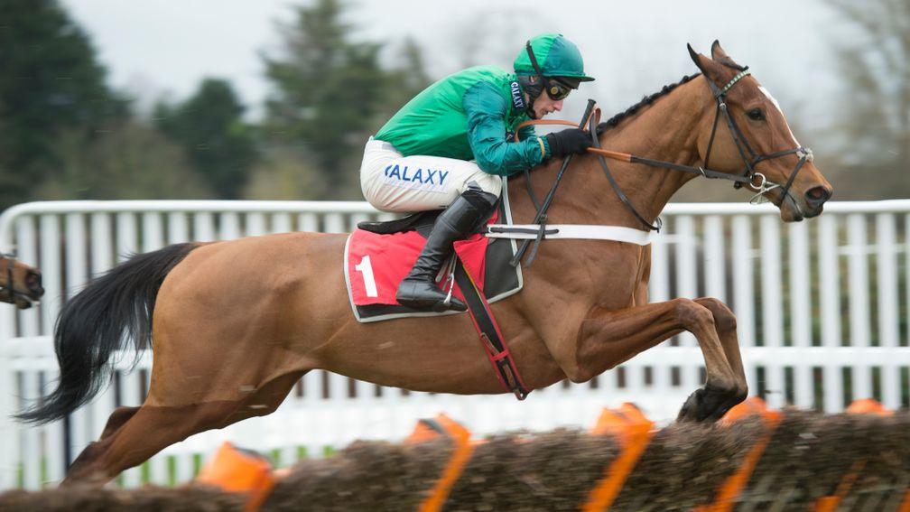 Peace and Co: will make the switch to fences at Hexham