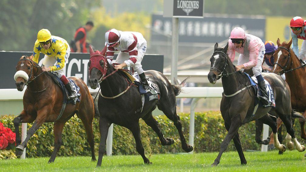 Dominant (centre) beat The Fugue and Dunaden in the 2013 Hong Kong Vase