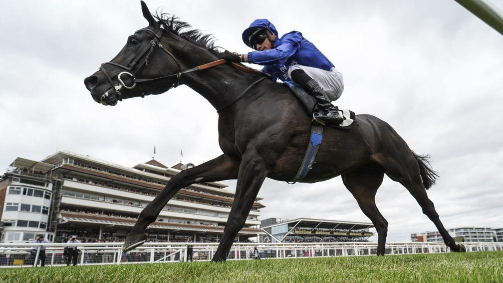 James Doyle and Hamada win at Newbury to set up a possible Melbourne Cup bid for the Godolphin gelding