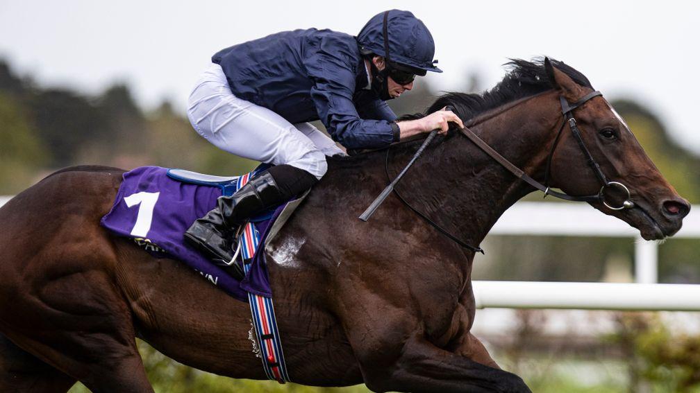 Bolshoi Ballet: strong favourite for the Derby after Derrinstown romp