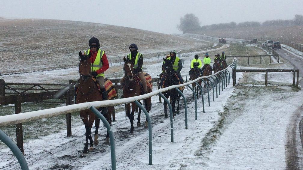 Harry Dunlop's string on the freezing Lambourn gallops