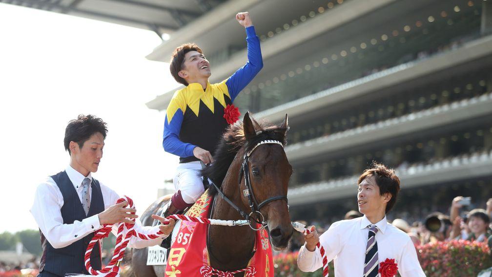 Wagnerian: the son of Deep Impact won the Japanese Derby (picture: Masakazu Takahashi)