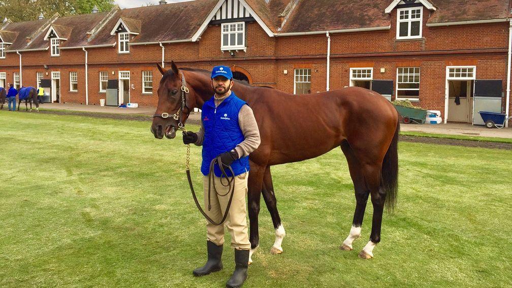 Thunder Snow with Saeed Bin Suroor: the colt represents in the Maktoum Challenge