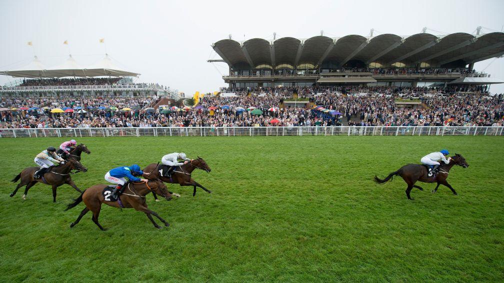 Goodwood: track stages good quality card on Wednesday