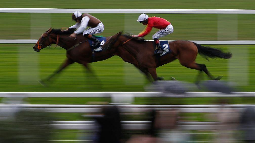 Flying North (left) carries Peter Tellwright's colours to victory at Ascot