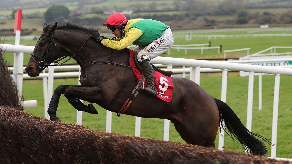 Sizing John: his Telescope half-brother foaled last year will be offered at the Goffs UK January Sale