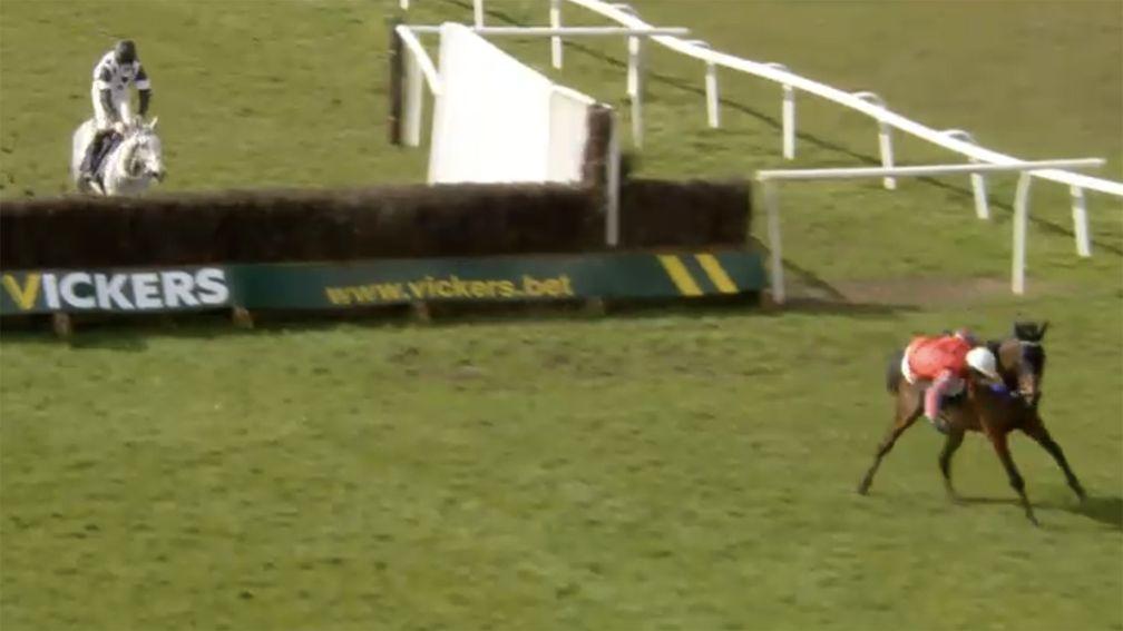 Telhimlisten jinks left after the final fence with his rider Sean Quinlan unseated