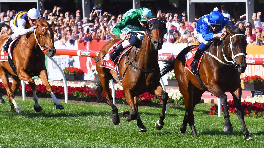 MELBOURNE, AUSTRALIA - OCTOBER 28:  Hugh Bowman riding Winx defeats Blake Shinn riding Humidor in Race 9, Ladbrokes Cox Plate  during Cox Plate Day at Moonee Valley Racecourse on October 28, 2017 in Melbourne, Australia.  (Photo by Vince Caligiuri/Getty I